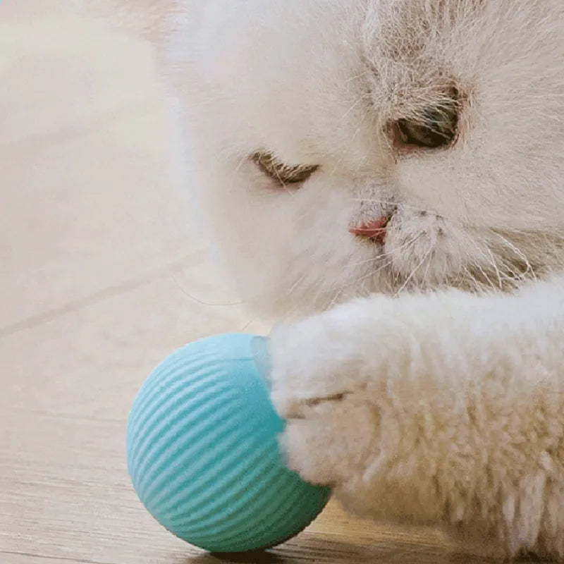 Bola rodante automática para gatos recargable